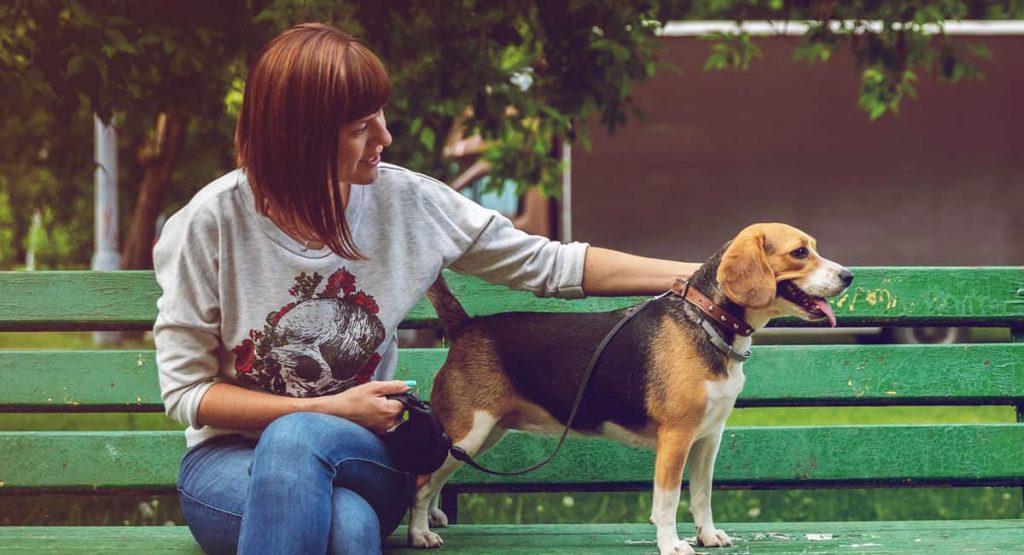 feature img2 free img 1024x555.jpg