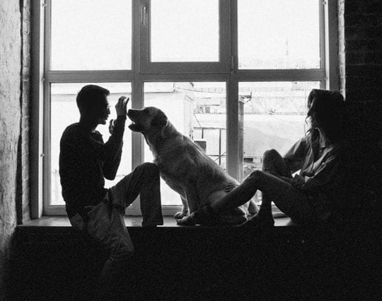 founders free img.jpg