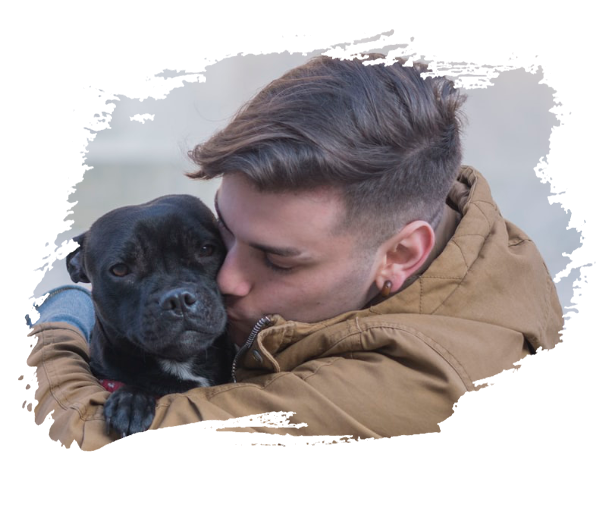 pet sitting team 1.png